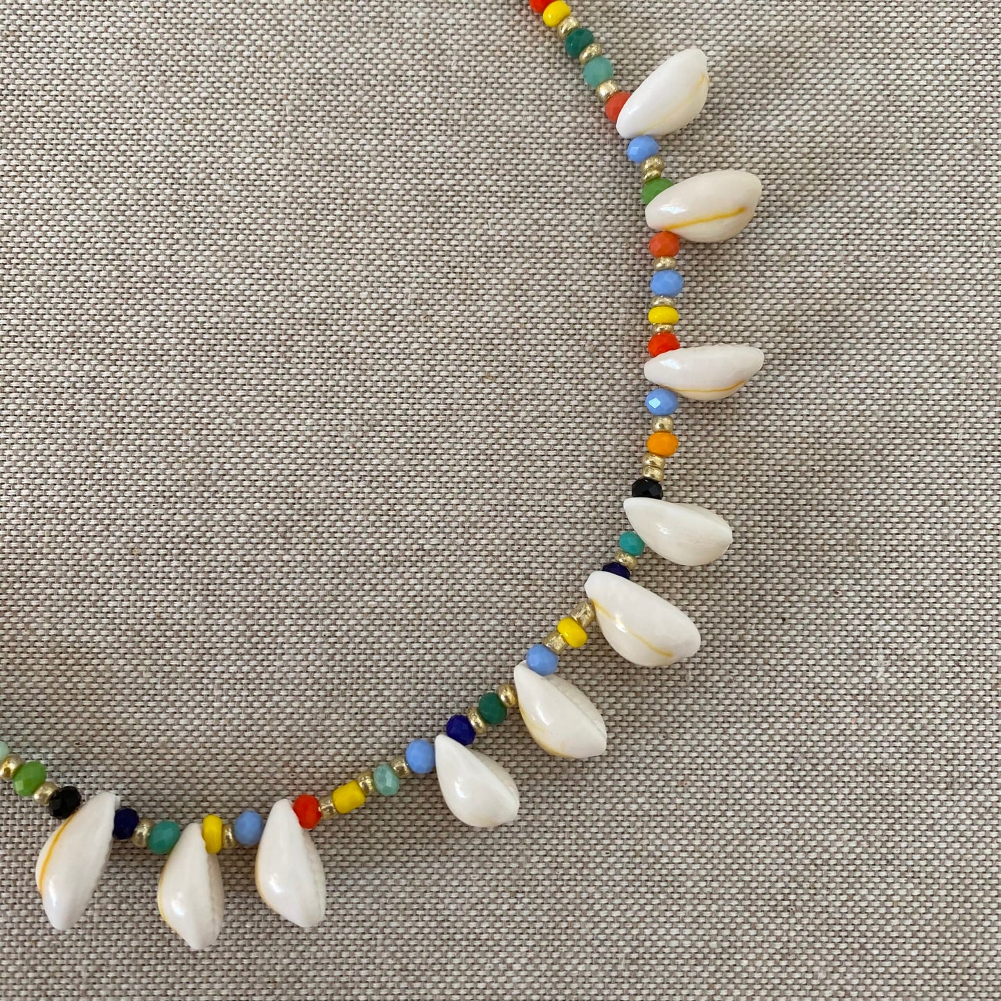 Multicolor Fairy Seashells