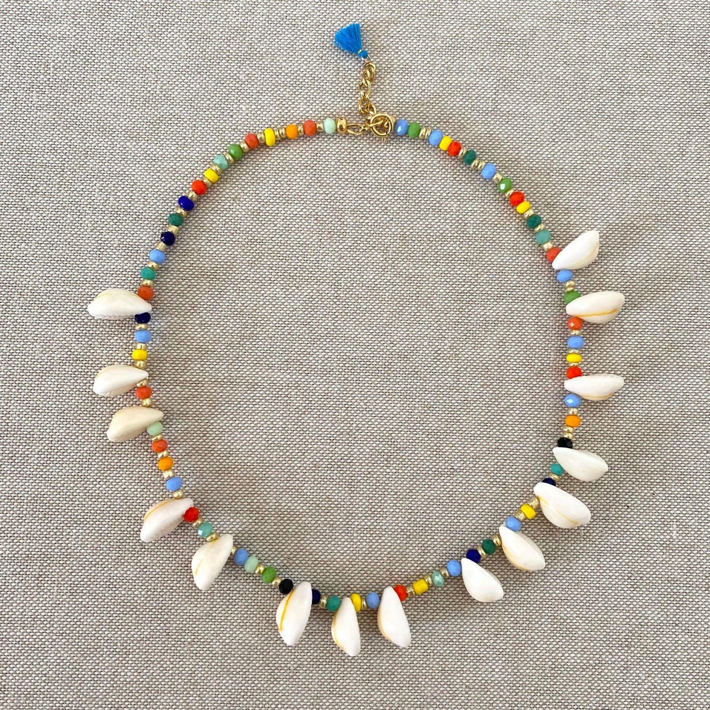 Multicolor Fairy Seashells